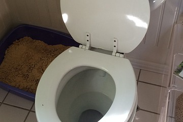10 trucs pour nettoyer la toilette