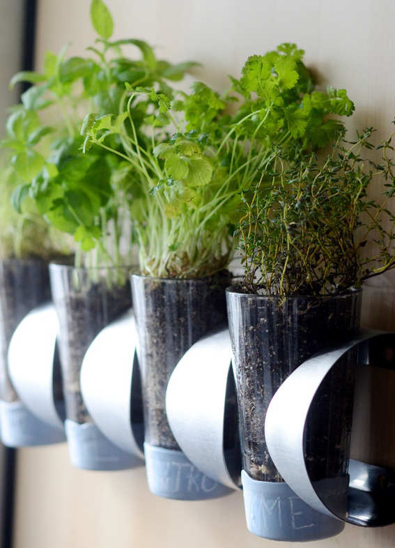 Rack à vin pour cultiver les fines herbes